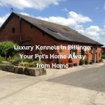 Luxury Kennels in Billinge: Your Pet’s Home Away from Home