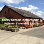 Luxury Kennels in Mawdesley: A Premium Experience for Your Pets