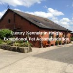 Luxury Kennels in Haigh: Exceptional Pet Accommodation