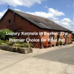 Luxury Kennels in Euxton: The Premier Choice for Your Pet