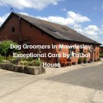 Dog Groomers in Mawdesley: Exceptional Care by Talbot House