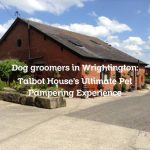 Dog groomers in Wrightington: Talbot House’s Ultimate Pet Pampering Experience