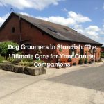 Dog Groomers in Standish: The Ultimate Care for Your Canine Companions