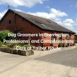 Dog Groomers in Shevington: Professional and Compassionate Care at Talbot House