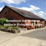 Exceptional Dog Groomers Service in Rivington by Talbot House