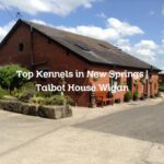 Top Kennels in New Springs | Talbot House Wigan